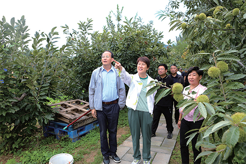 01 彭麗霞主任帶隊調研鄉村振興工作.jpg